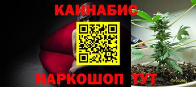 мдма Новодвинск