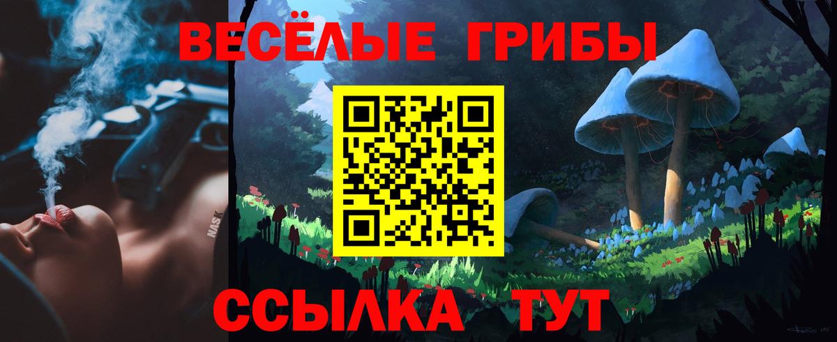 Черняховск  цена   Вход с VPN  Галлюциногенные грибы прущие грибы 