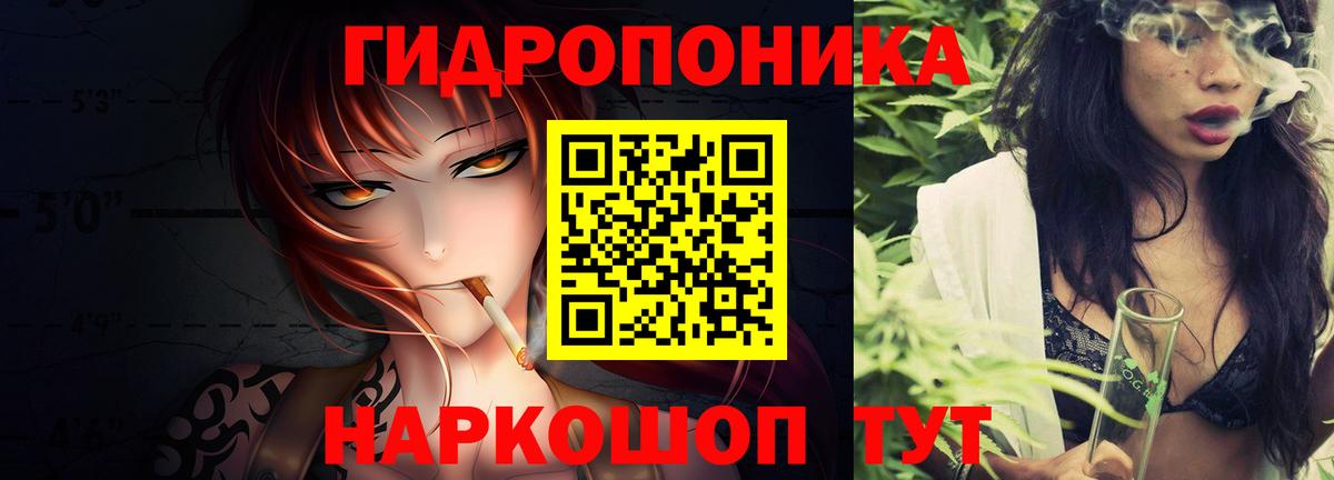 Марихуана сатива Черняховск